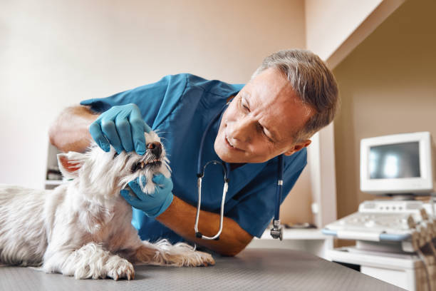 Best Emergency Tooth Extraction in Bethany, OK